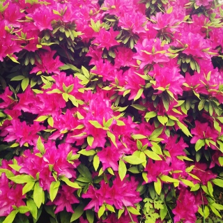 ��(�U�P)