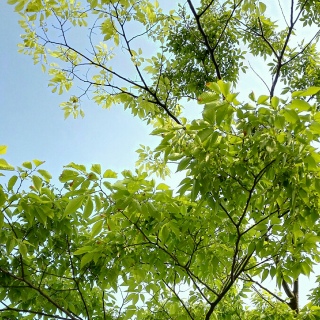 ���O��m��Ȃ���